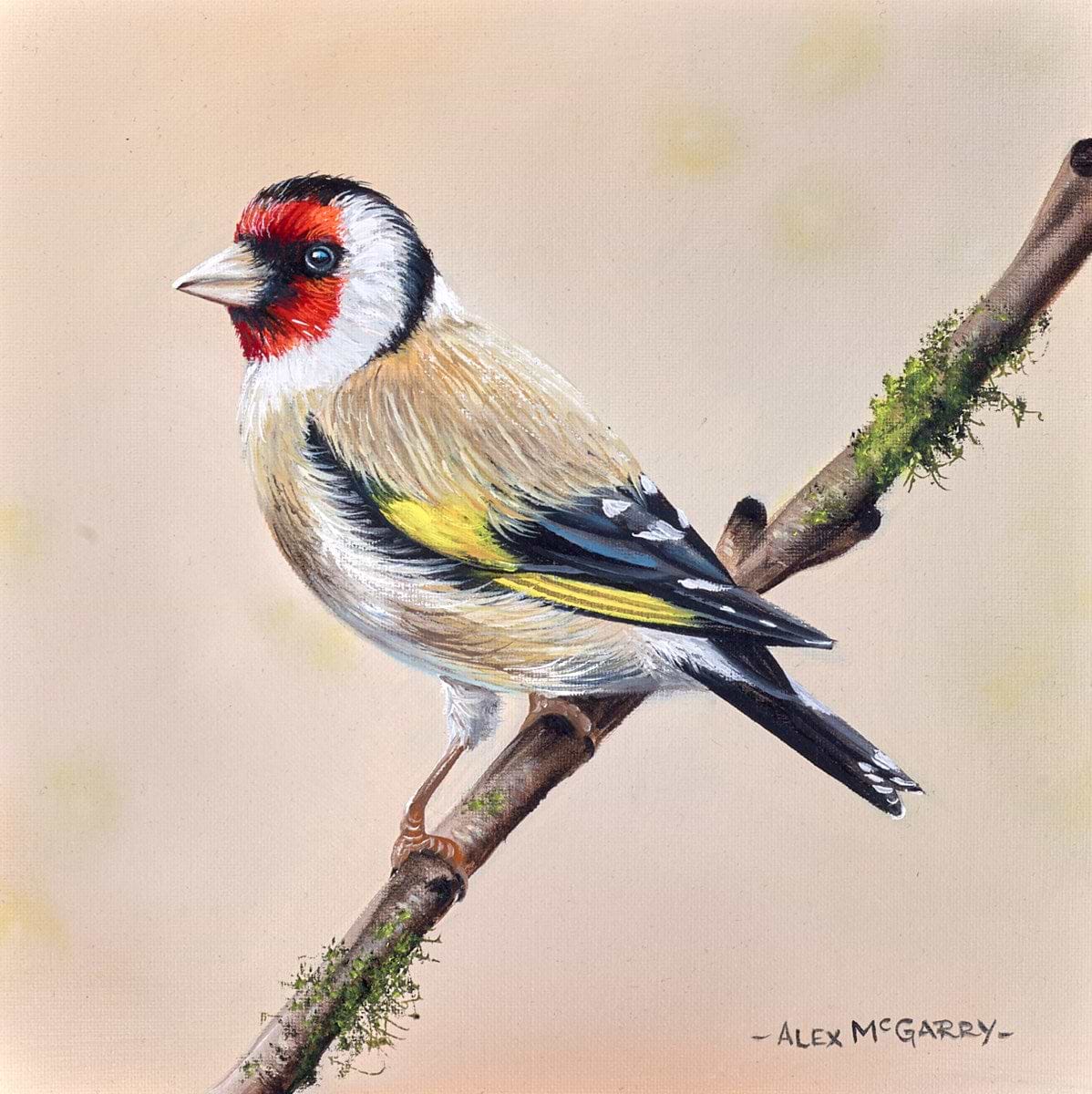 Goldfinch