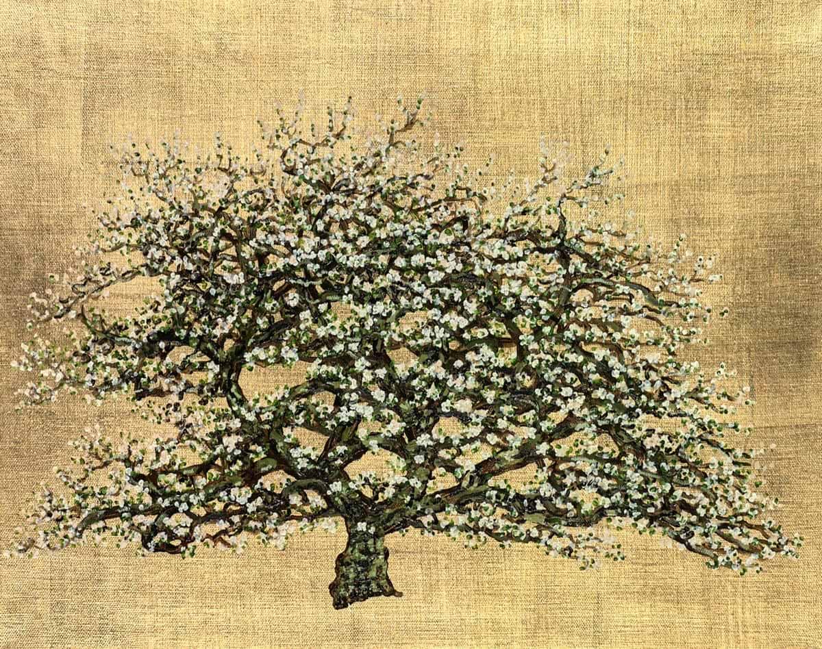 A Tree In Bloom V