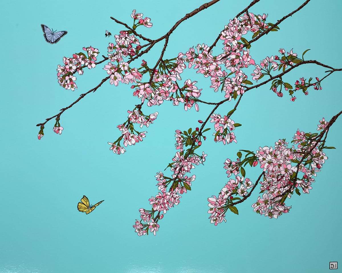 Cherry Blossom On Turquoise