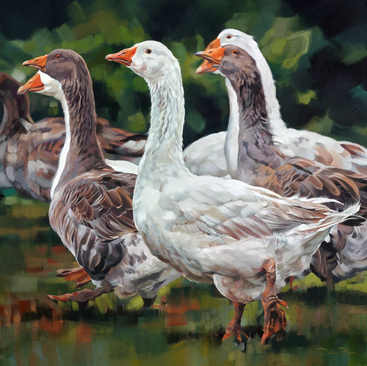 Gaggle Of Geese
