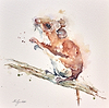 Field Mouse II