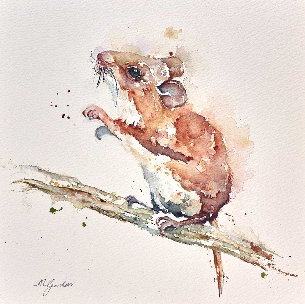 Field Mouse II