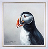 Puffin IV (Framed)