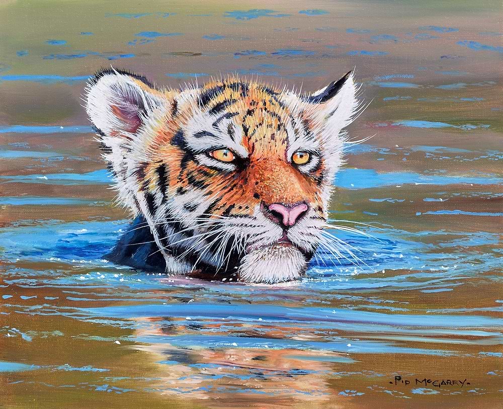 Tiger Cub Bathing