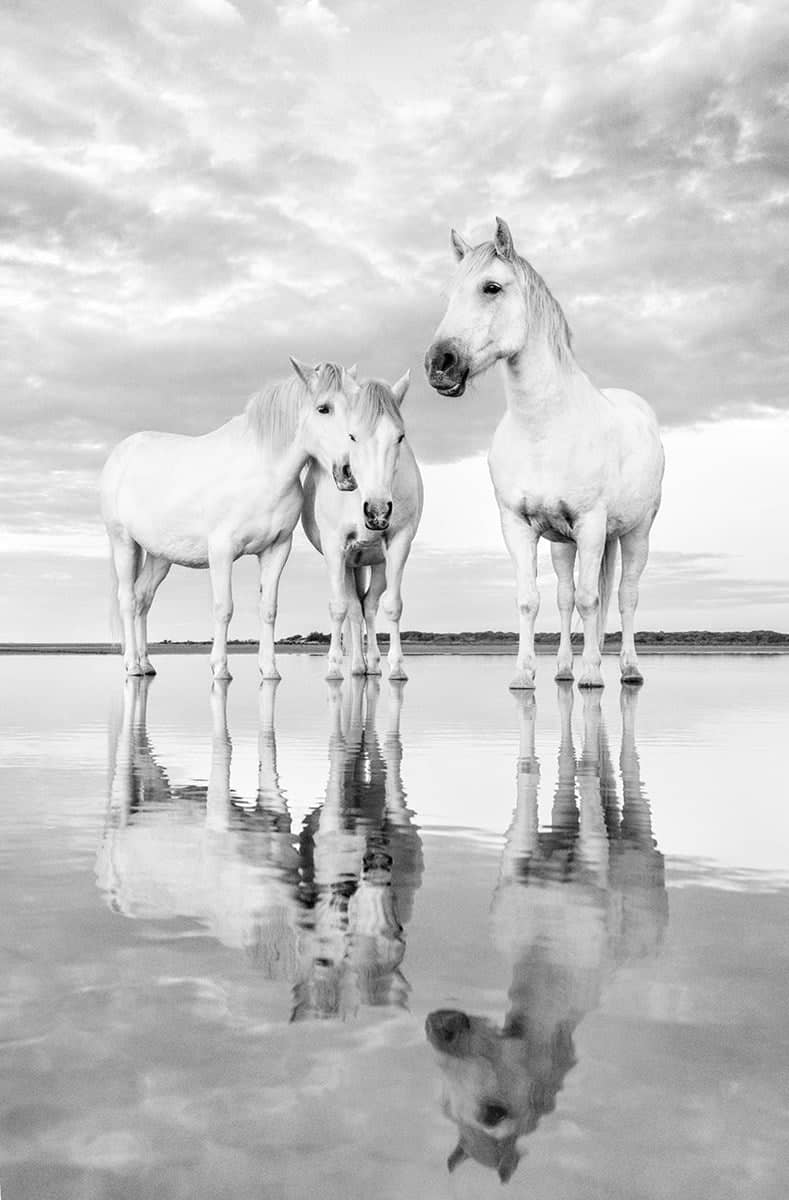 Morning Reflections