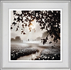 Dawn Journey (Framed)