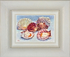 More Scallops III (Framed)