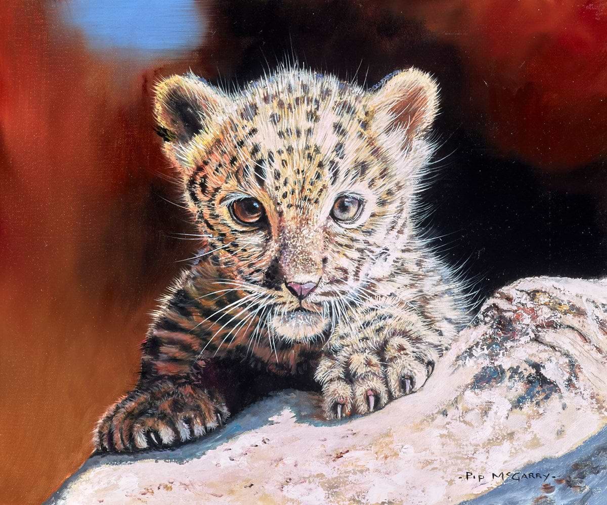 Leopard Cub