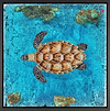 Turtle Reef (Framed)
