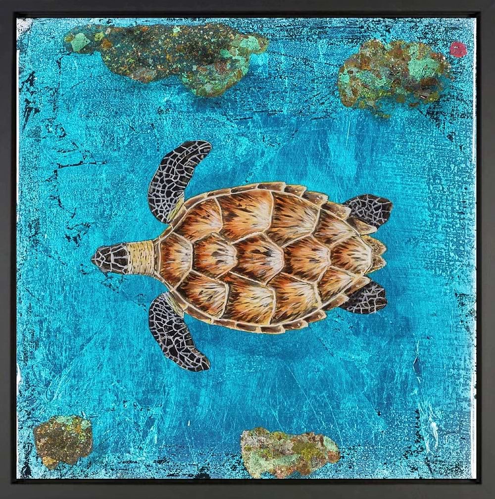 Turtle Reef