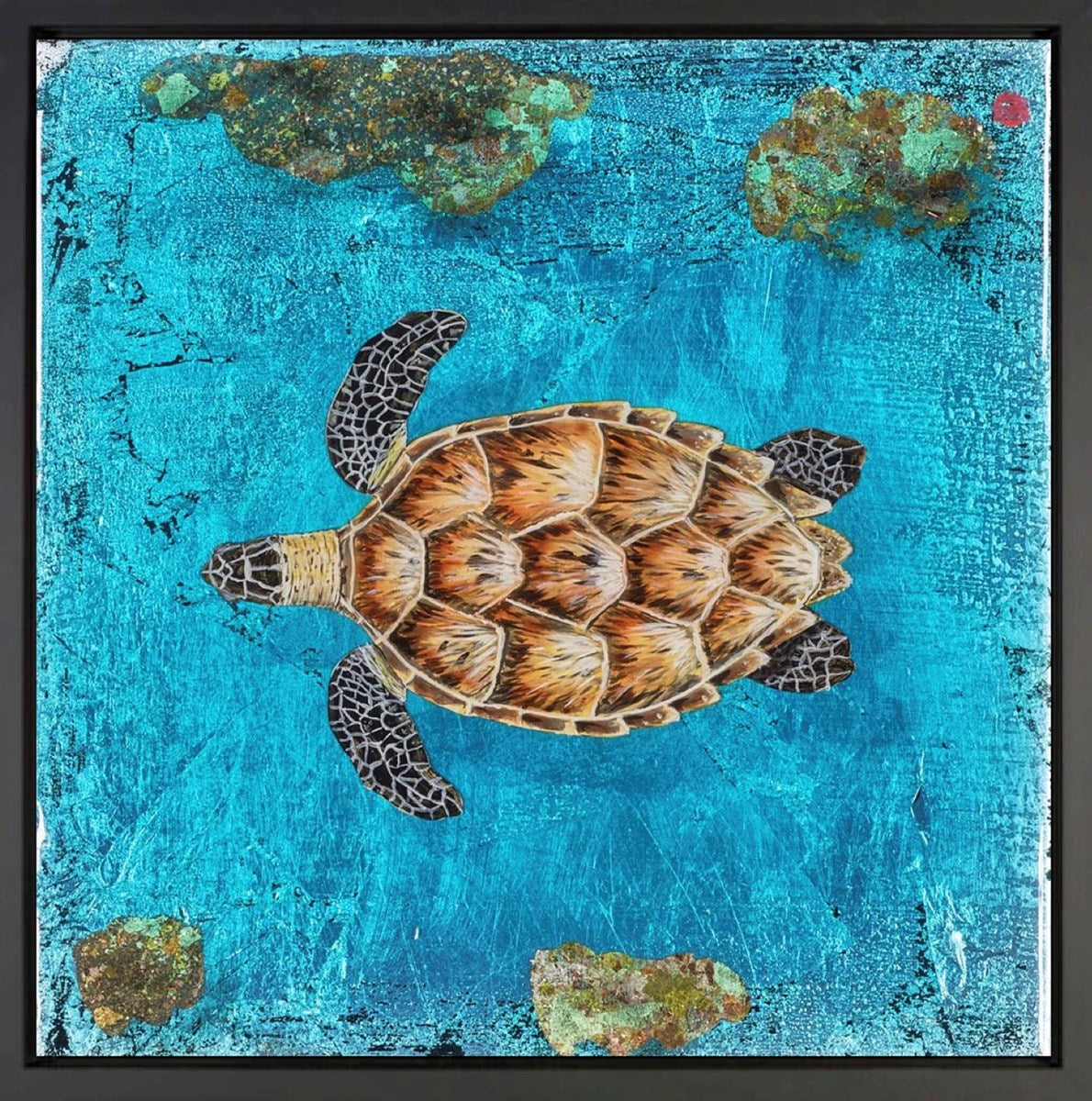 Turtle Reef