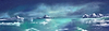 Cold Seas