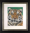 Perceptive (Framed)