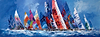 Born to Sail III
