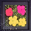 Vandalised-Flowers