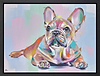 Frenchie Affection (Framed)