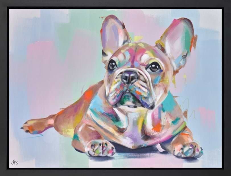 Frenchie Affection