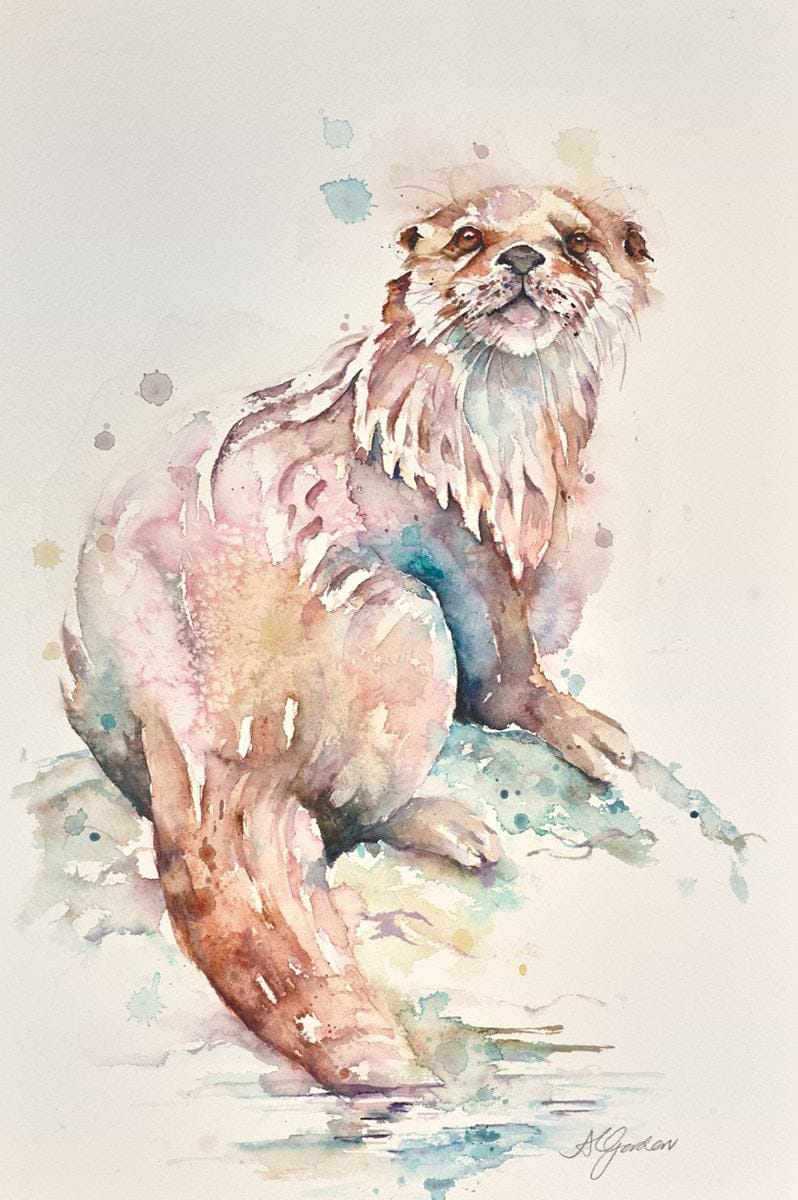 Fine Young Otter