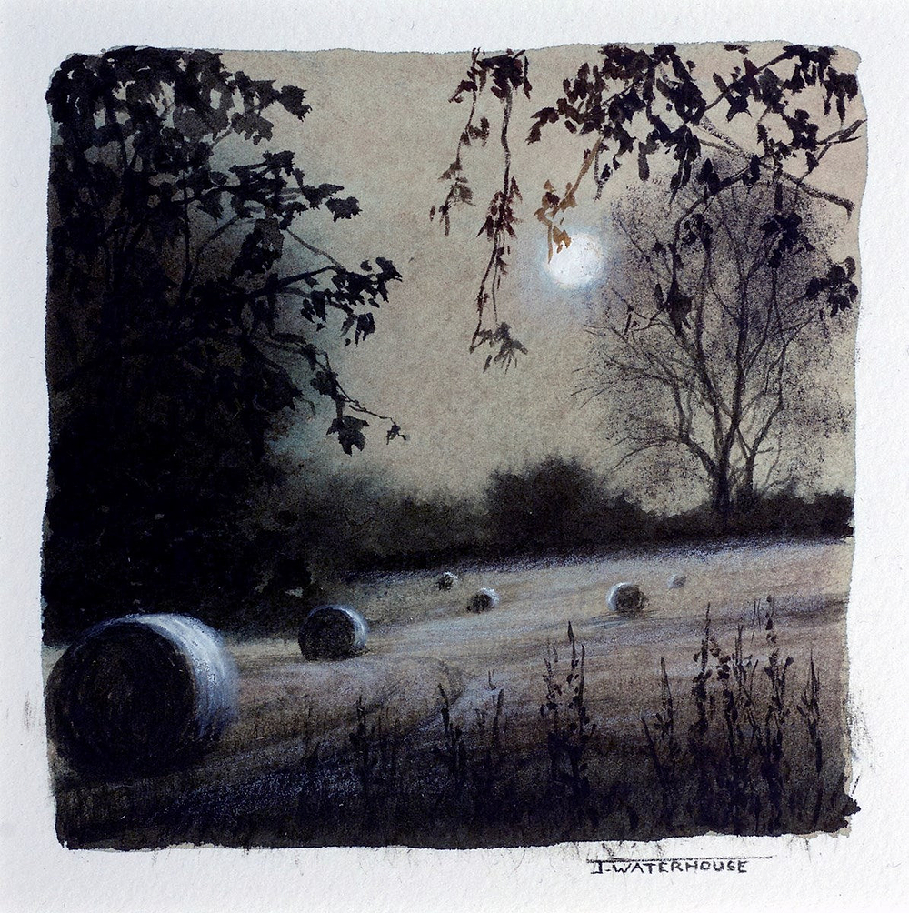 The Garden Of Life (Study)