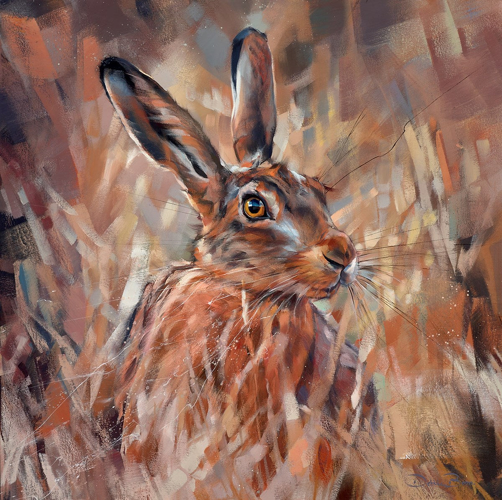 Hidden Hare