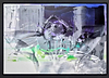 Concupiscent (Framed)