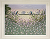The Kingfishers (Framed)