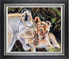 Affection (Framed)