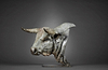 White Park Bull