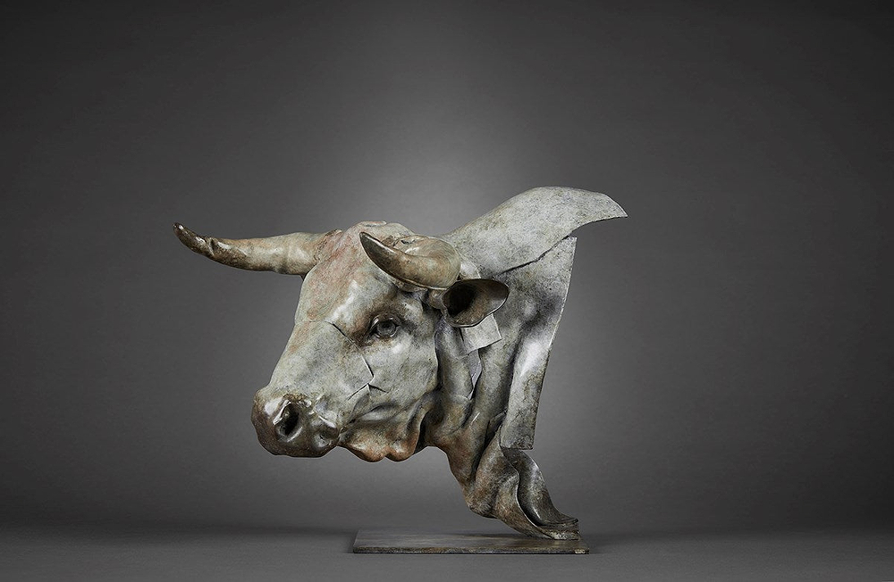 White Park Bull