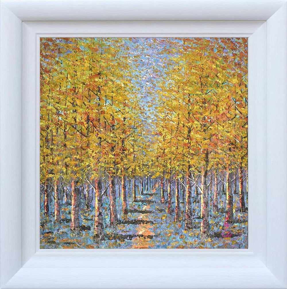 A Woodland Pathway