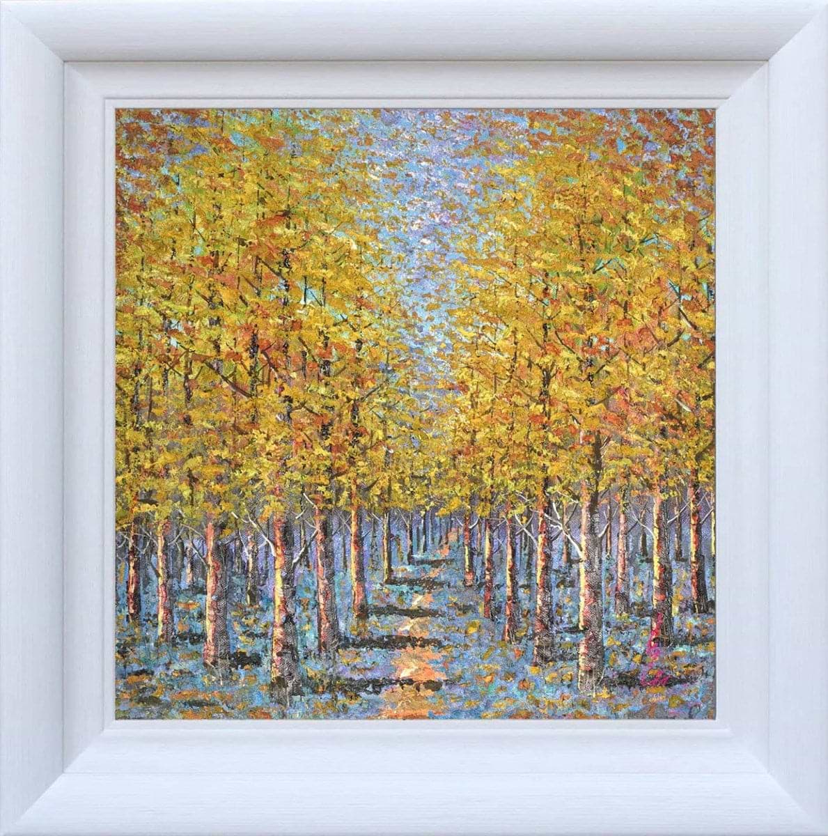 A Woodland Pathway