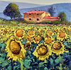 Casa Tra I Girasol