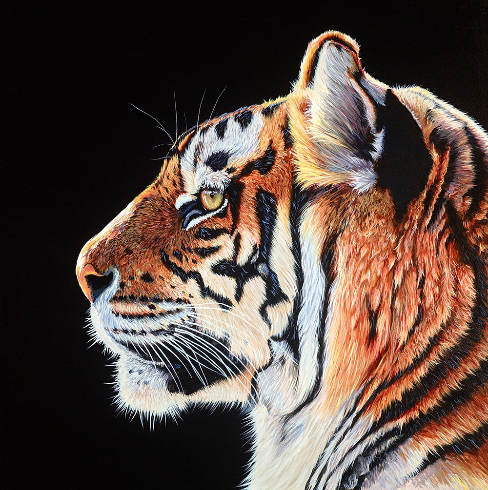 Tiger Stare II