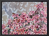 Floral Beauty (Framed)