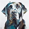 Faithful Companion