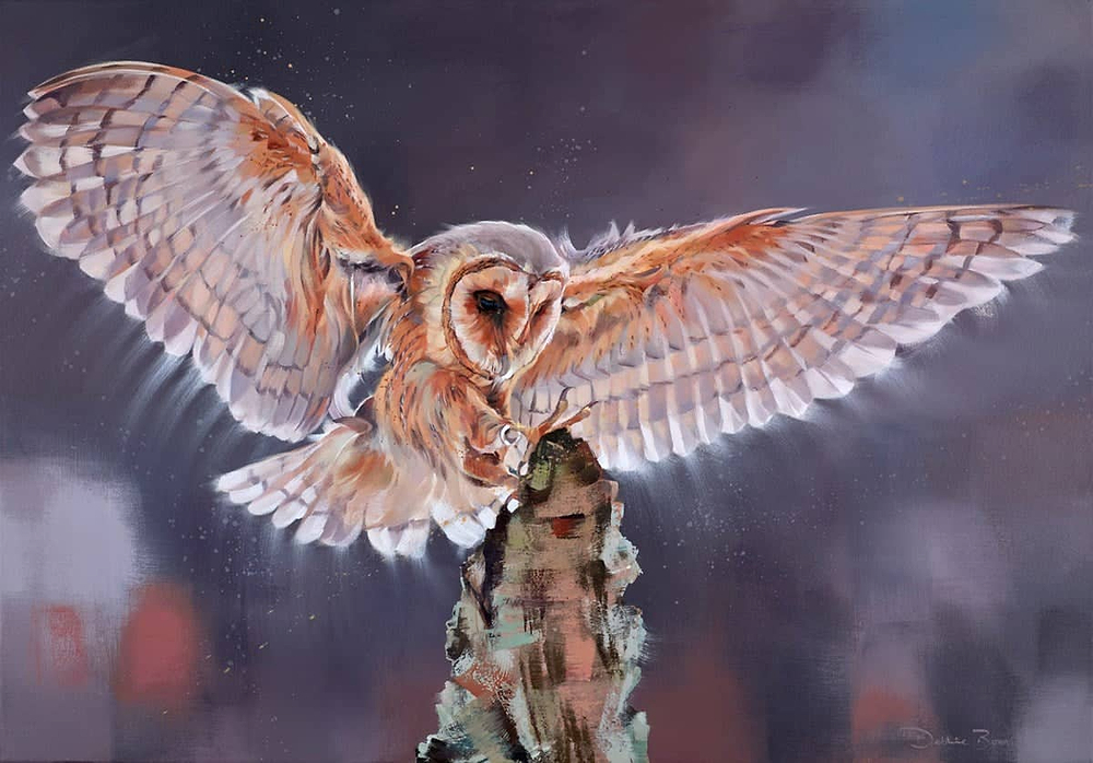 Swoop