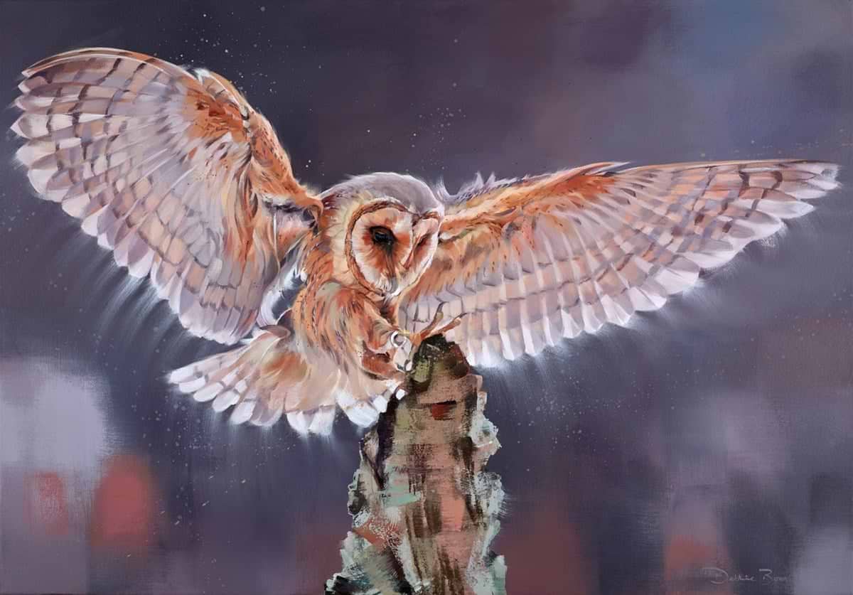 Swoop