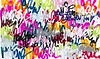Graff Is My Middle Name