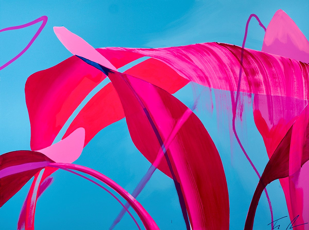 Canopy Fragments