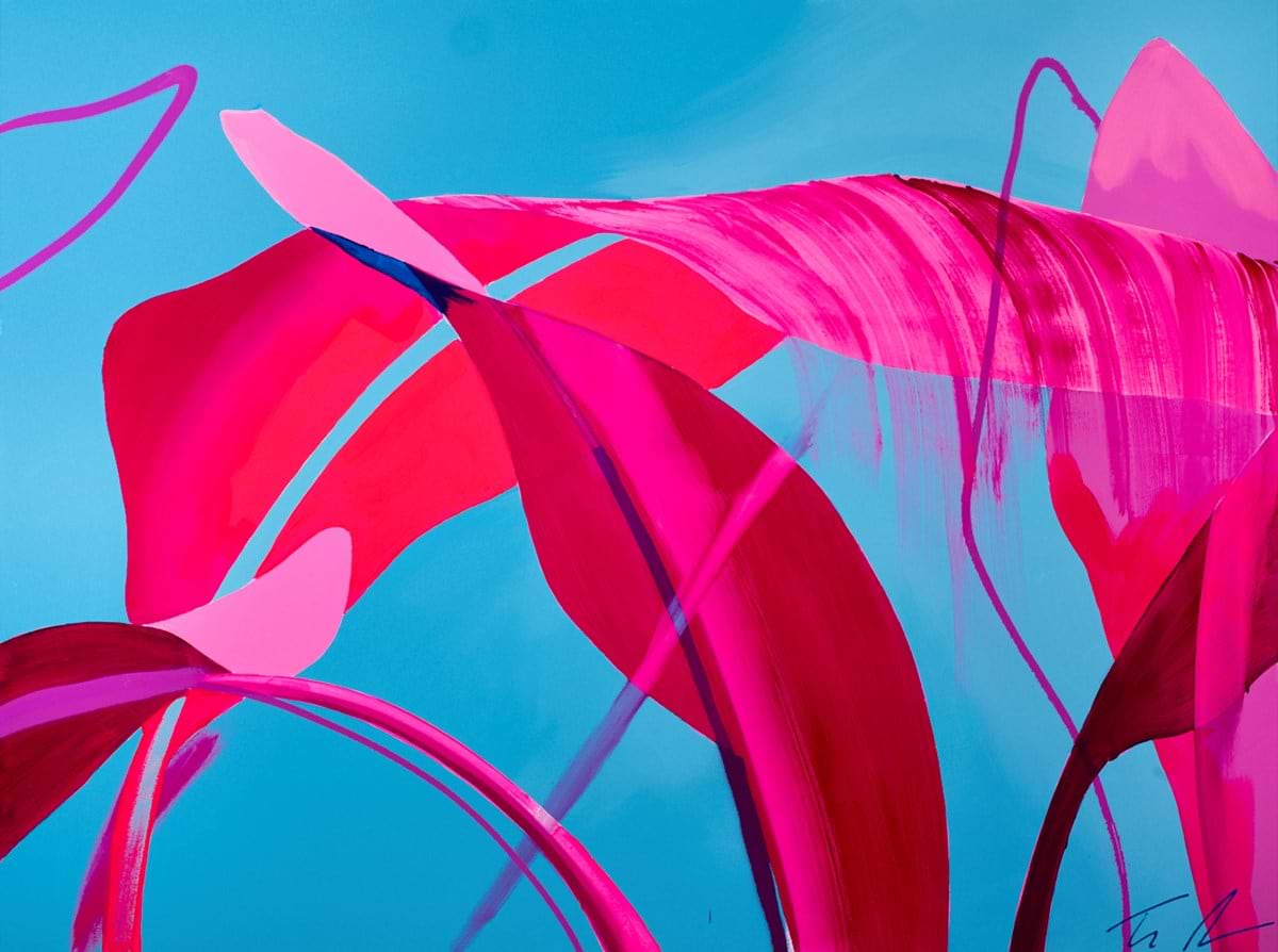 Canopy Fragments