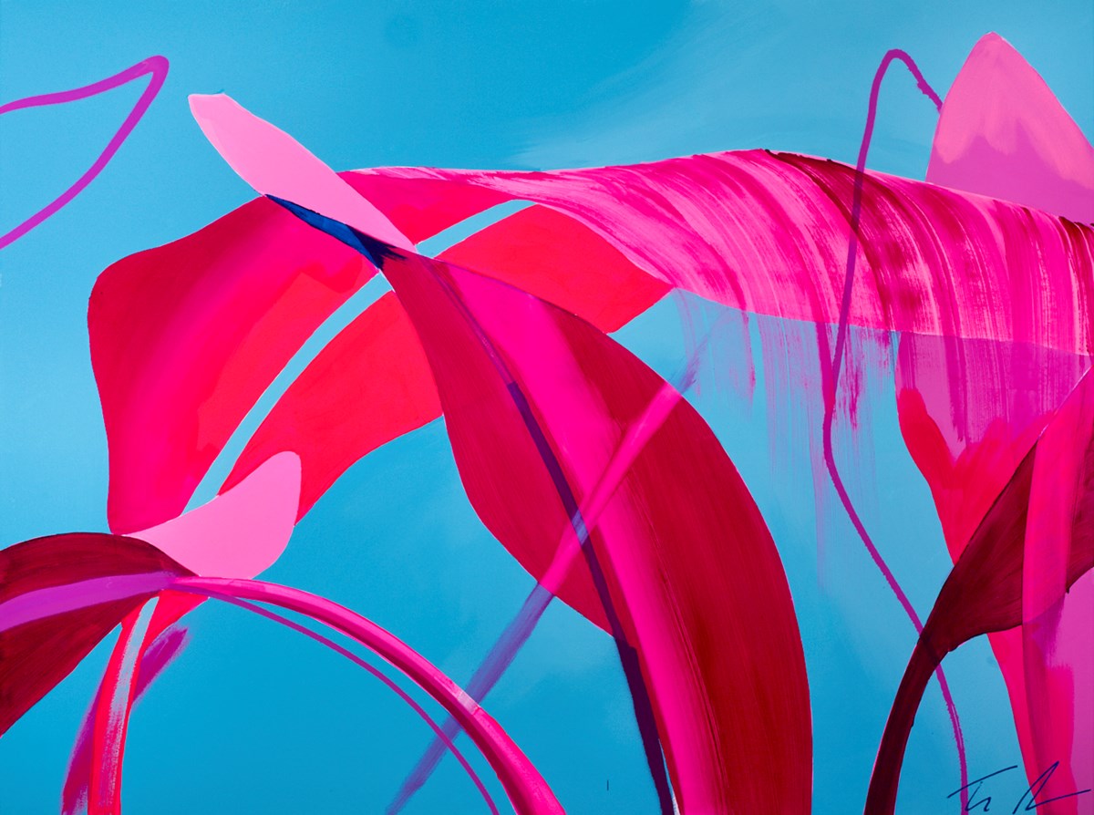 Canopy Fragments