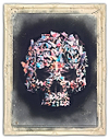 Butterflies Skull II