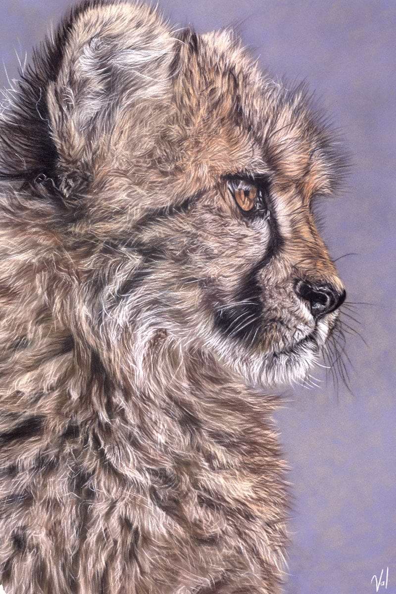 Kitty