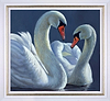 The Two Swans (Framed)