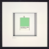Cool as a Kuucumber (Framed)