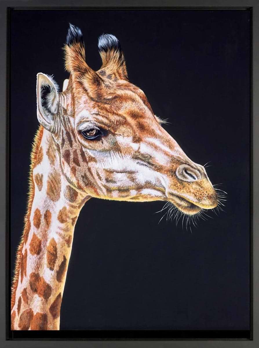 Sleepy Giraffe