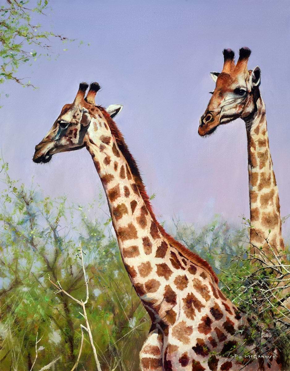 An Elegant Couple