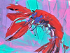 Red Lobster IV