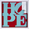 Scrubbed Out- Hope