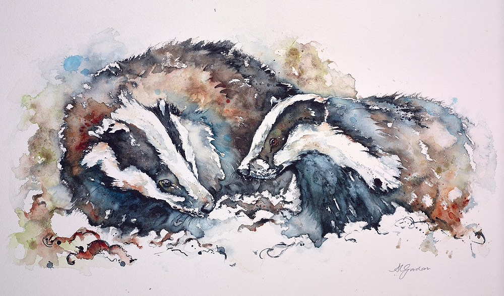 Badgers At Dusk
